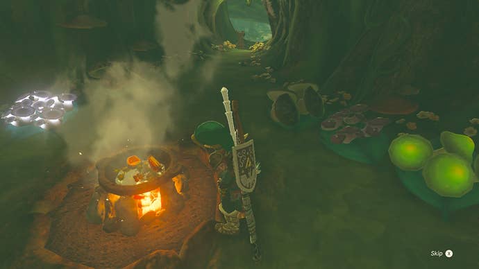 Link cooking meat, tomatoes and herbs in Zelda: Tears of the Kingdom