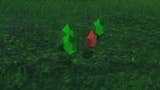 zelda totk green and red rupees
