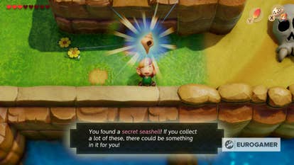 Link's Awakening: Where To Find The Toughest Seashells (And What