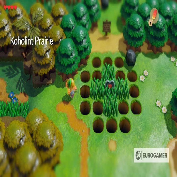 Save BowWow, To Gopongo Swamp Walkthrough - The Legend of Zelda: Link's  Awakening Guide - IGN