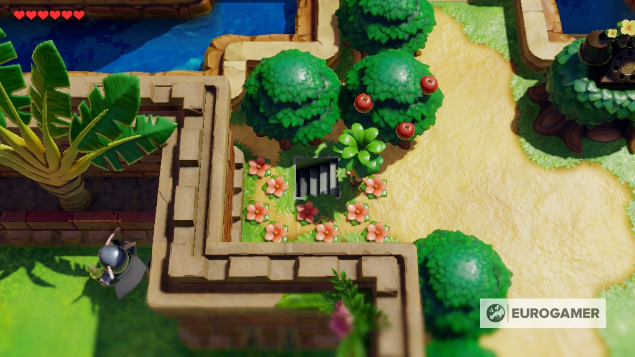 Zelda Link's Awakening Kanalet Castle Gold Leaf locations