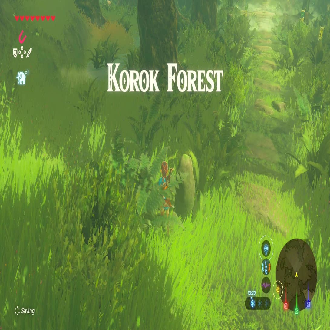 Zelda: Breath Of The Wild - Lost Woods Route Directions And How To Reach Korok  Forest | Eurogamer.Net