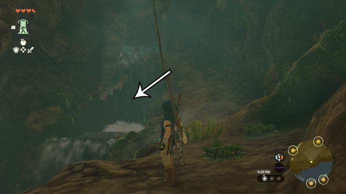 Link approaching a waterfall at the North Hyrule Plain Cave, with an arrow pointing at the direction players need to head to progress.