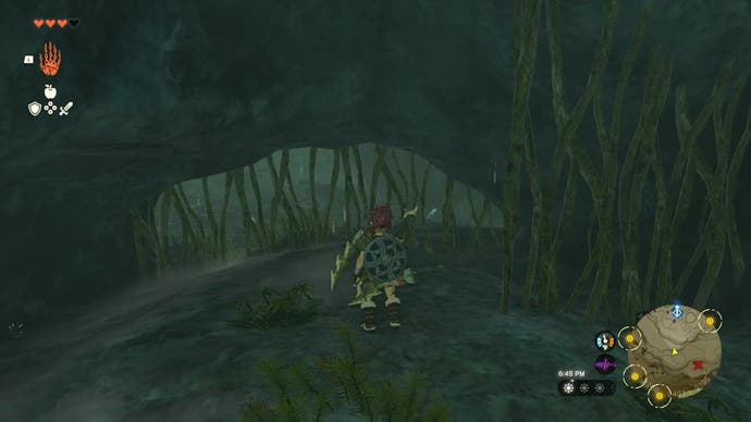 Link approaching a rock entranceway which has roots growing over it that block his way.