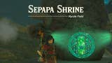 Zelda Tears of the Kingdom Sepapa Shrine solution