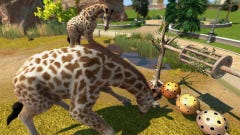 An Inside Look at Zoo Tycoon with Frontier Developments - Xbox Wire