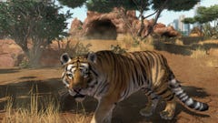 Zoo Tycoon Getting An Official Board Game Adaptation — GAMINGTREND
